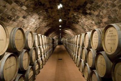 82年的拉菲為何至今仍有售？解析葡萄酒產(chǎn)量與市場(chǎng)流通的奧秘