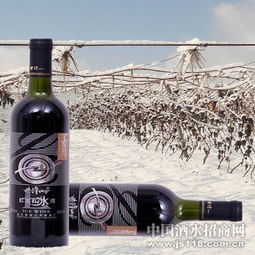 紫隆山紅寶石冰酒 品味時光凝萃，共創財富未來——通化紫隆山葡萄酒廠火熱招商